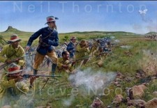 'Durnford's Donga' Limited