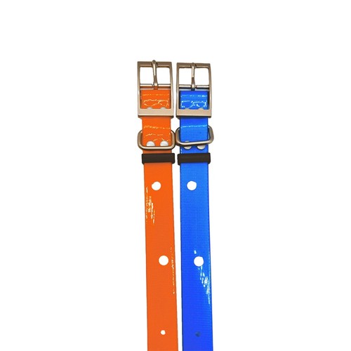 2pz cinghia collare - 2pz,