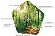 Olymp Sounds of Nature Box