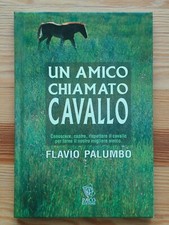 Flavio Palumbo - Un Amico