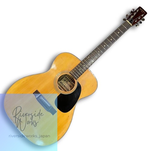 Chitarra acustica suzuki 120 - chitarra,