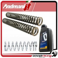 Andreani Spring Suspension Kit