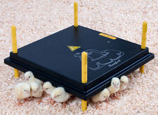 CHIOCCIA ARTIFICIALE PER 30/35 PULCINI DOPO L'INCUBATRICE | BOROTTO