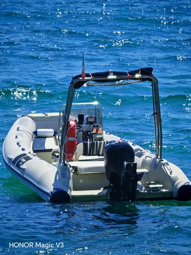 Evinrude gommone fvr - evinrude,