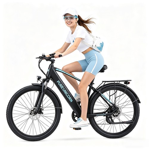 Bicicletta elettrica 750w - bicicletta,