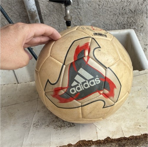 Adidas fevernova glider - adidas,