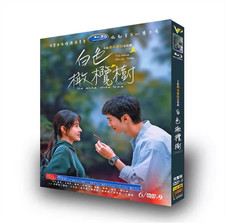 Hot 2025 Chinese Drama The