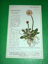 Cartolina Pubblicità