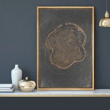 Anello albero grigio scuro