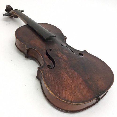 Violino medio fino sano - fino, -sano-