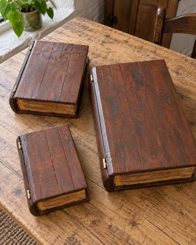 Set scatole porta libri - libri, in