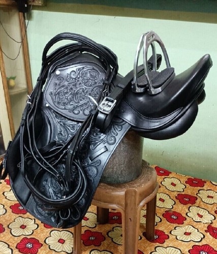 Combinazione stile dressage