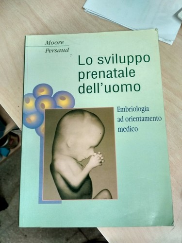 Sviluppo prenatale - lo,