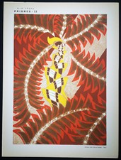 1930,ORIGINALE ÉMILE-ALAIN SÊGUY RARO ART NOUVEAU COLORATO A MANO POCHOIR PRISMES UV7