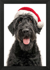 Quadro Stampa su Tela Poster