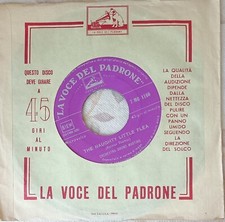 BRUNO MARTINO Mustapha