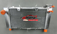 Radiatore in alluminio per