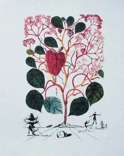 Salvador dali begonia - salvador, il