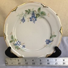 PMR Bavaria Jaeger & Co Germania zona USA ~ 7 piatto 5/8" ~ caprifoglio blu