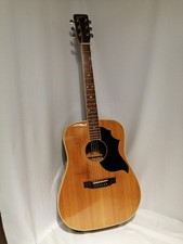 PEARL Chitarra acustica FW-300
