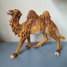 Camelli Per Presepe Italy Per