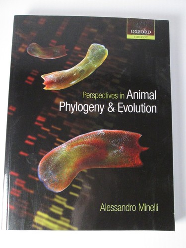 Animal phylogeny evolution - animal,