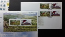 Irlanda/Canada 2005 Riserve