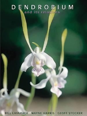 Dendrobium and its relatives - dendrobium,