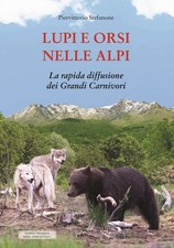 Lupi orsi nelle - lupi,