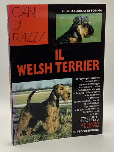 Welsh terrier illustrato a - il,