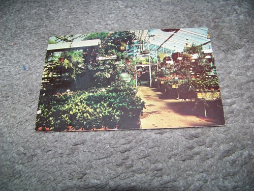 Godrey ott greenhouses - godrey, ott's