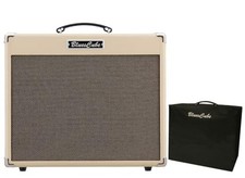 Roland/Blues Cube Stage