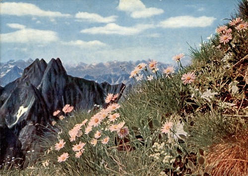 Oberstdorf monte astern - oberstdorf,