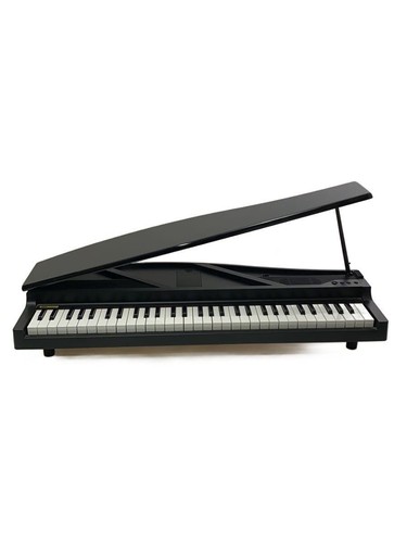 Micro pianoforte elettronico