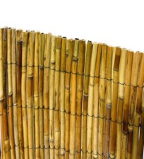 ARELLA IN CANNETTE DI BAMBU