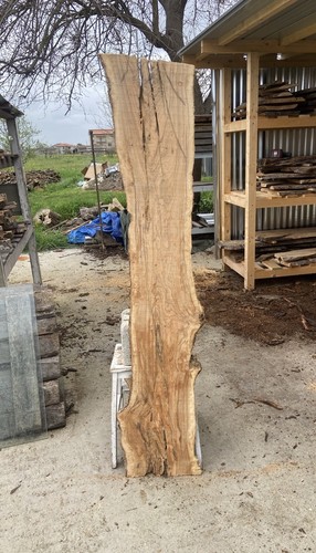 Tavola legno ulivo - tavola, di