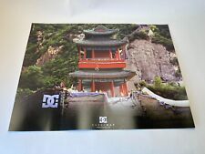 Poster skateboard FIRMATO