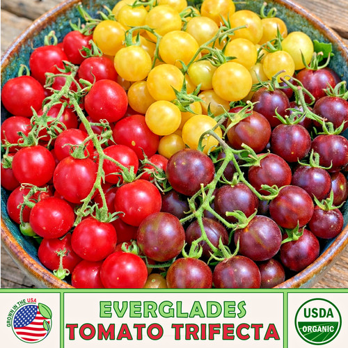 Everglades tomato - 🍅,