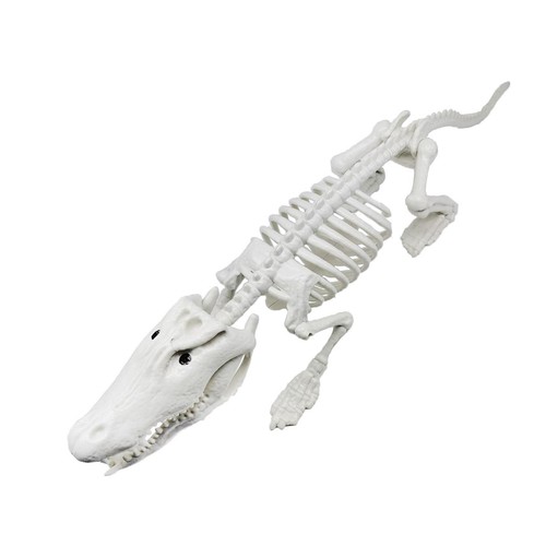 Decorazioni halloween con - decorazioni,