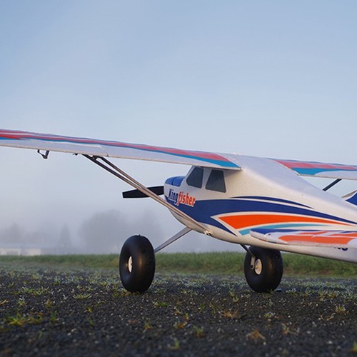 Fms kingfisher artf - (1400,