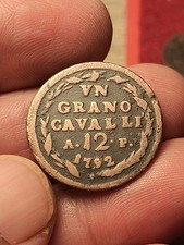 Splendida UN GRANO CAVALLI 12