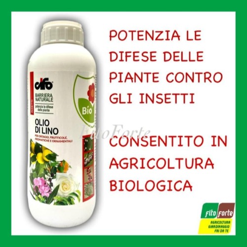 Olio lino cifo 1lt - cifo, potenzia