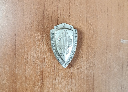 Spilla distintivo associazione - spilla,