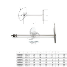 Chiave A T Maschio Torx