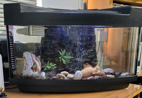 Acquario triangolare completo