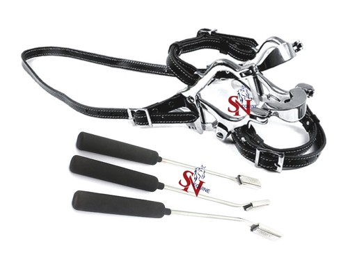 Kit odontoiatrico equino pony