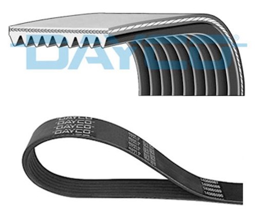 Per dayco 9pk1690hd - cinture, a