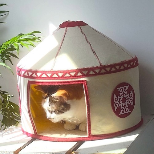 Yurte per gatti nomadi - -, yurta