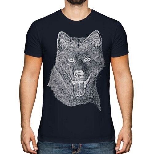Akita inu schizzo uomo - akita,