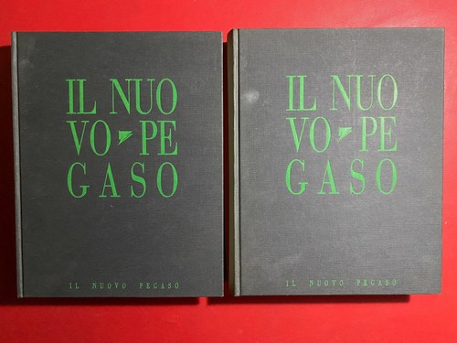 Nuovo pegaso vocabolario - il,
